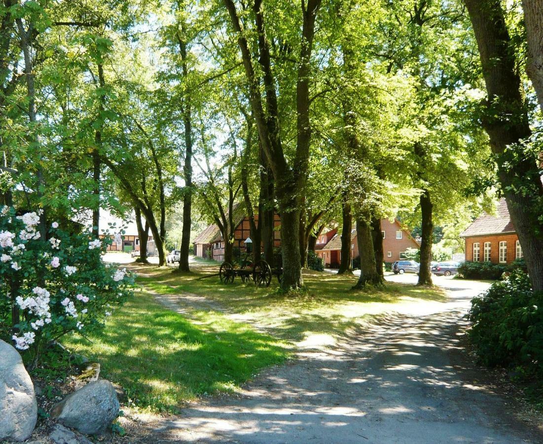 Ferienpension Lindenhof - Ferienwohnungen In Der Lueneburger Heide Marxen am Berge Exterior photo